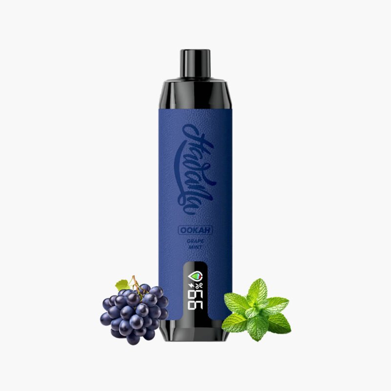 شيشة هوانا اوكا عنب نعناع 17000 سحبة | Hawana Ooka 17000puff Disposable Vape grape mint