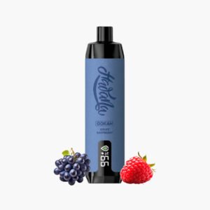 شيشة هوانا اوكا عنب توت 17000 سحبة | Hawana Ooka 17000puff Disposable Vape grape raspberry