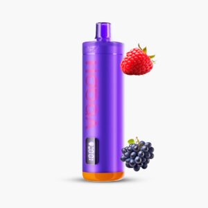 ناستي 15000 سحبة عنب توت شيشة هوكا | Nasty Hooqa 15000 Puff Disposable Berry Grape