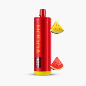 ناستي هوكا 15000 سحبة بطيختين شيشة | Nasty Hooqa 15000 Puff Disposable double watermelon