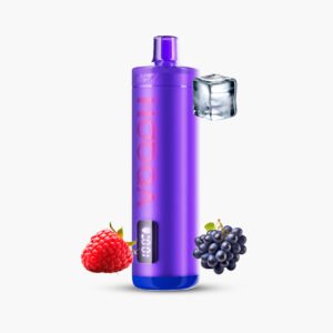 ناستي هوكا 15000 سحبة عنب توت ايس شيشة | Nasty Hooqa 15000 Puff Disposable Grape Raspberry Ice